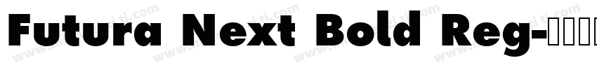 Futura Next Bold Reg字体转换